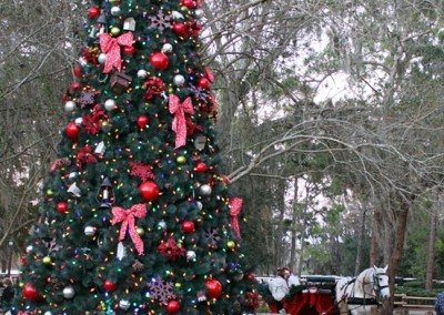 Christmas at Disney's Fort Wilderness Resort
