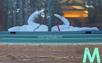 What You Need to Know About Disney’s Fort Wilderness