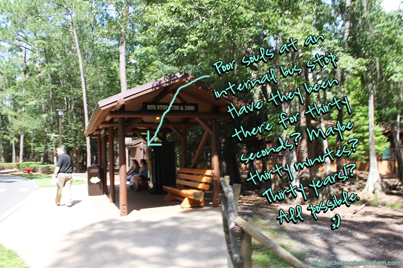 Cabins at Disney's Fort Wilderness Campground