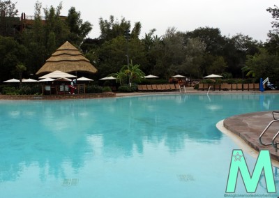 Disney's Animal Kingdom Lodge Pool