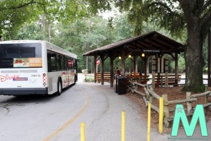 Disney's Fort Wilderness Resort and Campground Transportation