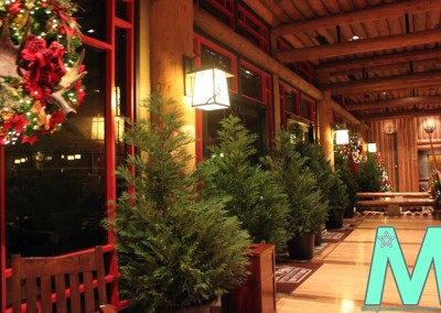Christmas at Disney's Wilderness Lodge