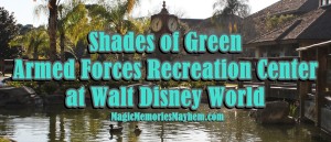 Shades of Green at Walt Disney World