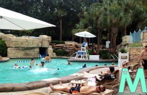 Walt Disney World Dolphin Pools