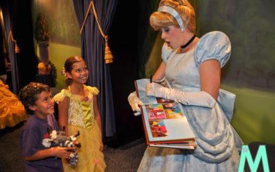 7 Disney Autograph Book Alternatives