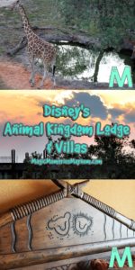 Disney's Animal Kingdom Lodge