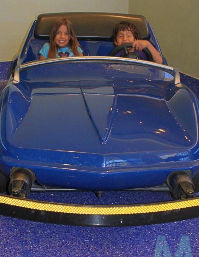 The Disneyland Hotel with Magic, Memories, Mayhem