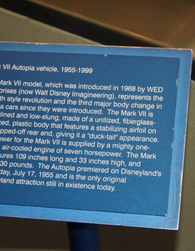 The Disneyland Hotel with Magic, Memories, Mayhem