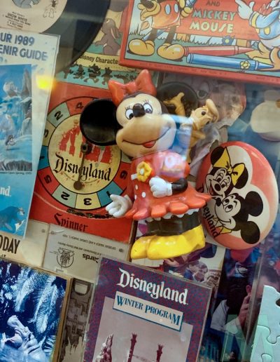The Disneyland Hotel with Magic, Memories, Mayhem