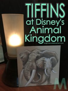 Tiffins with Magic, Memories, Mayhem
