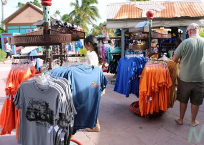 Disney's Castaway Cay with Magic, Memories, Mayhem