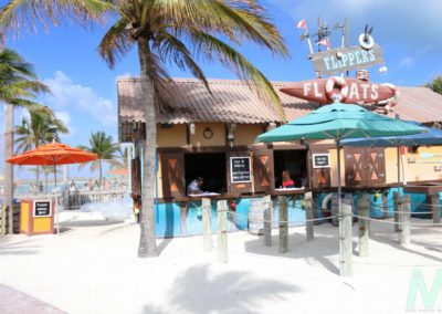 Disney's Castaway Cay with Magic, Memories, Mayhem