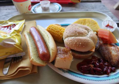 Disney's Castaway Cay with Magic, Memories, Mayhem