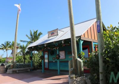 Disney's Castaway Cay with Magic, Memories, Mayhem