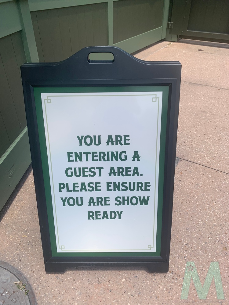 Disney World's Private VIP Tours with Magic, Memories, Mayhem