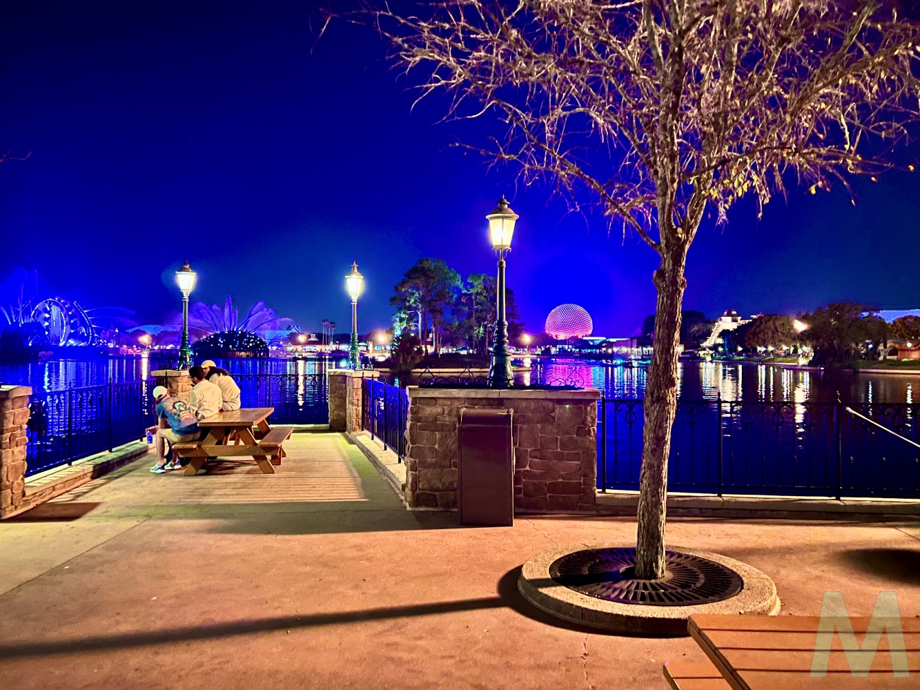Disney World's Private VIP Tours with Magic, Memories, Mayhem