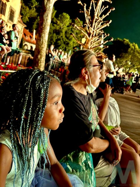 Private VIP Tours at Walt Disney World
