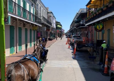 New Orleans Mid-city Carriage Ride with Magic, Memories, Mayhem