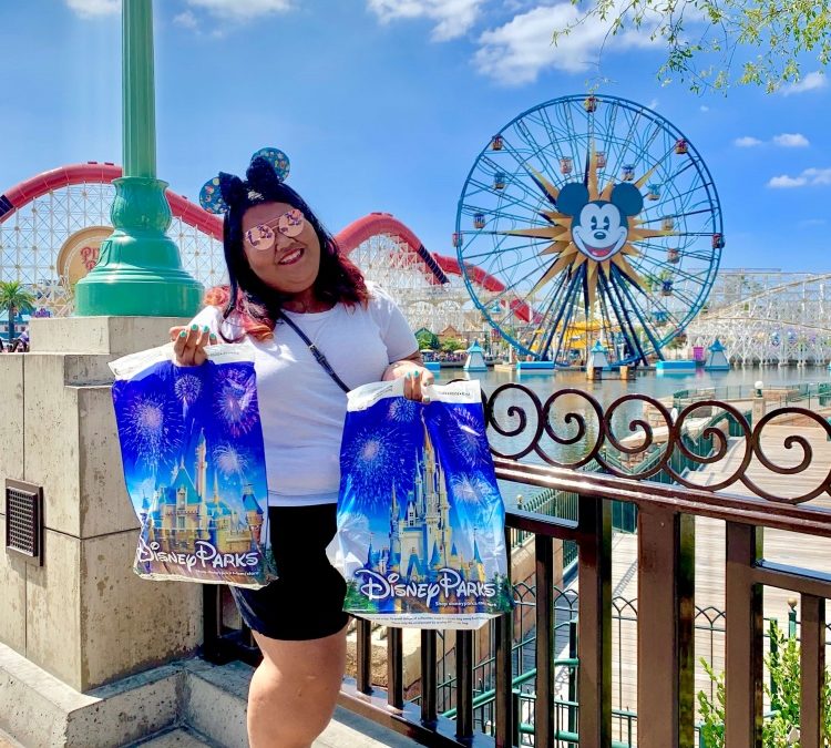 Disney Tip Tuesday: Resort Package Delivery