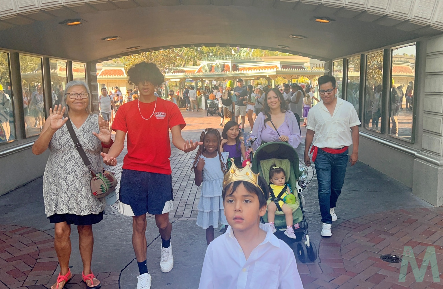 Disneyland Family (1) with Magic, Memories, Mayhem Disney 101 with Magic, Memories, Mayhem