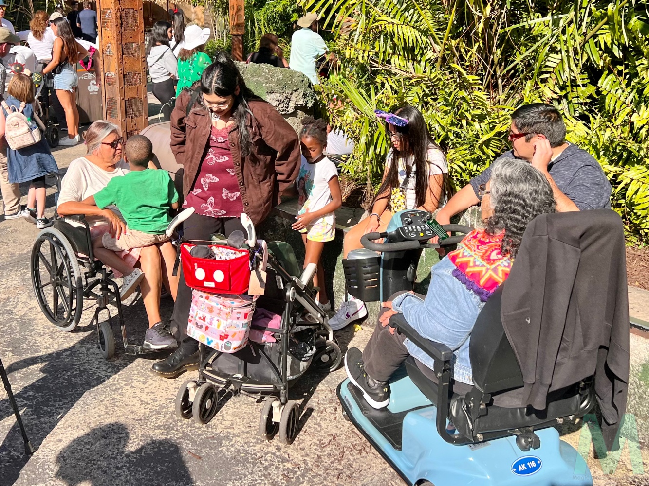 ECV and Wheelchair Rental at Walt Disney World with Magic, Memories, Mayhem