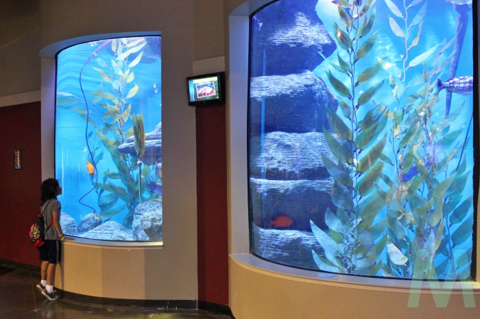 Oklahoma Aquarium in Jenks