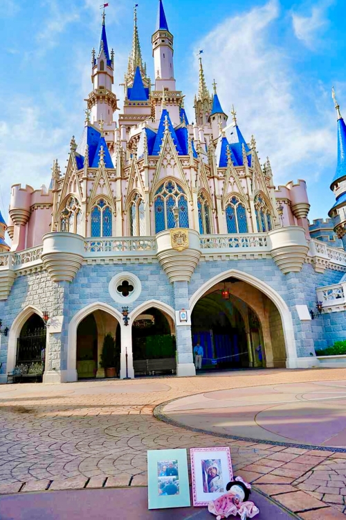 Capture Your Moment in Magic Kingdom 20 Capture Your Moment Animal Kingdom Moana Disneybound