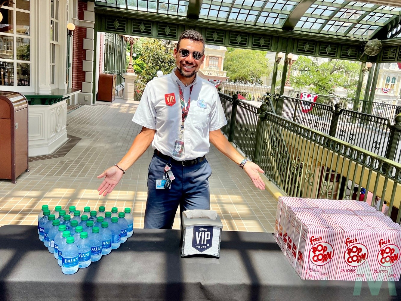 Disney World's Private VIP Tours with Magic, Memories, Mayhem