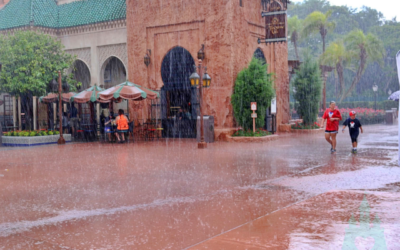 Disney Tip Tuesday: Rain in the Parks